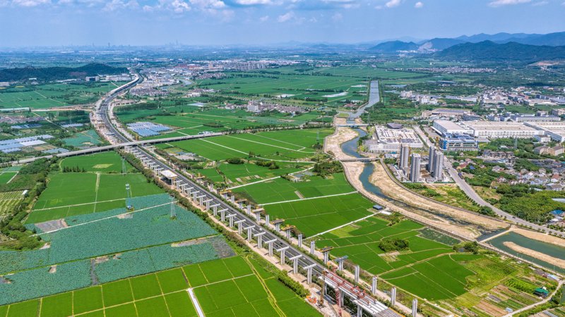 专业委员会：行业发展的智囊团